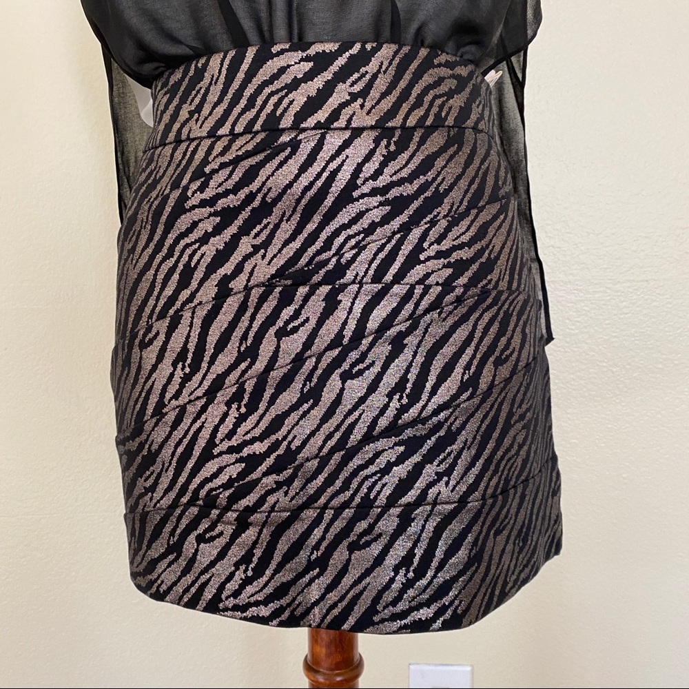 Express Mini Skirt